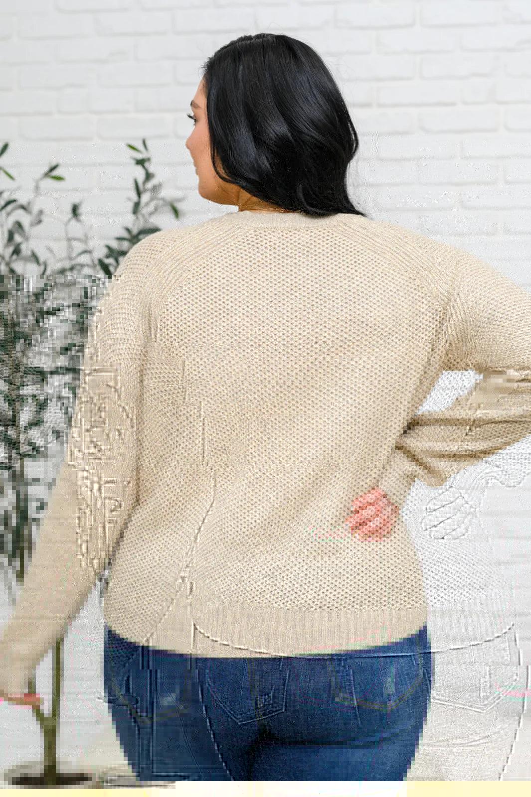 Chai Latte V-Neck Sweater in Oatmeal Womens Ave Shops   